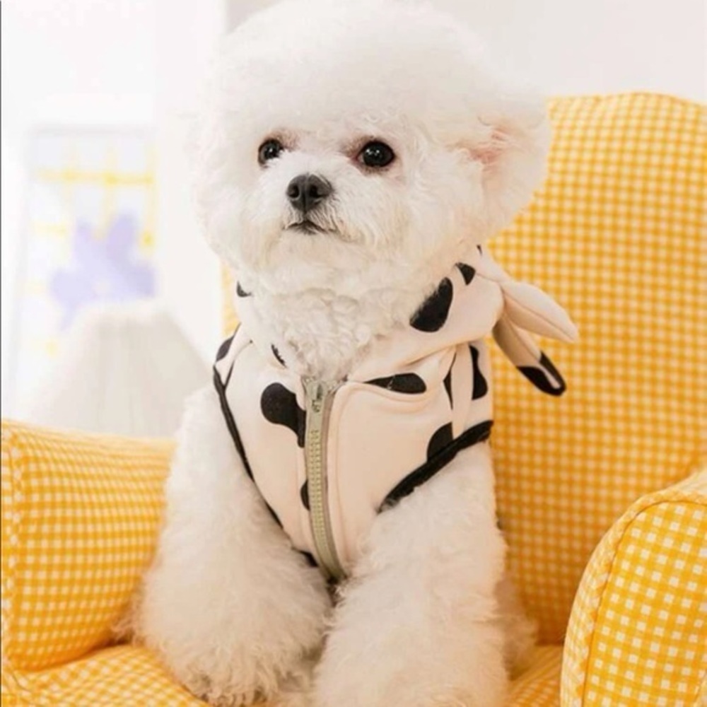 HP 🎉 Cow Pattern Pet Jacket SIZE L